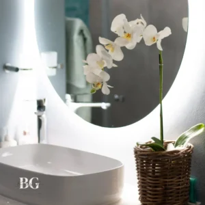 Bathroom with orchids